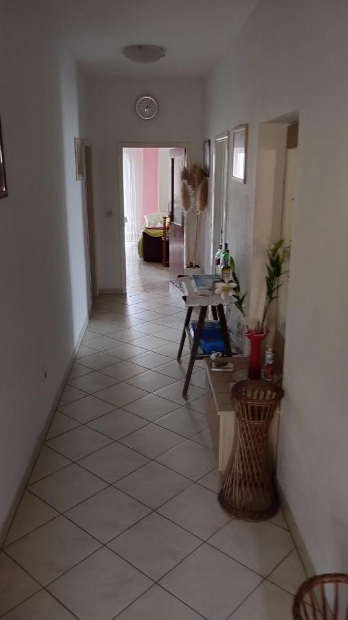 Apartman Palme Šibenik Exterior foto